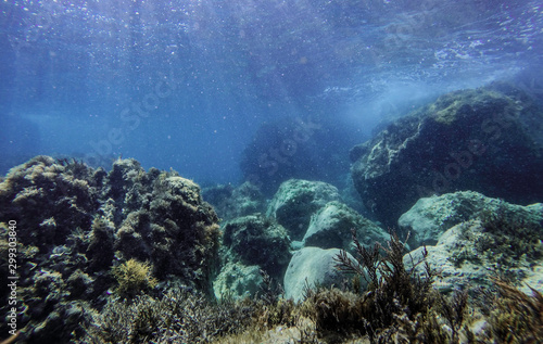 Rock underwater on the seabed in the Mediterranean sea, natural scene. Underwater photography. © Blackbookphoto