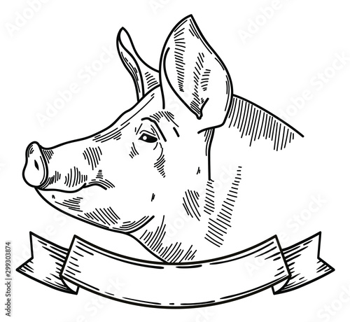 vector illustration of farm animal pig head, ideal for label, logo, sketch style illustration
