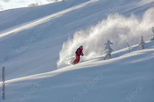 freerider in a bright suit rides fast skiing with large splashes of snow on a sunny day. Young Beautiful female skier. Snow scoot. Extreme winter sports. sunrise light, edit space. 