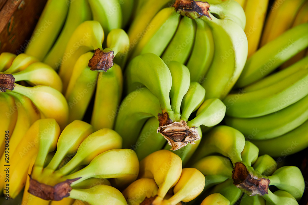 Full Frame Shot Of Fresh Bananas Displayed In Organic Farm Shop Full Frame Shot Of Fresh Bananas Displayed In Organic Farm Shop