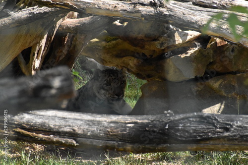 Beauval