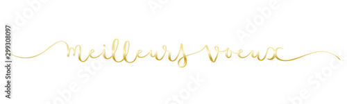 Calligraphie vecteur dorée MEILLEURS VOEUX