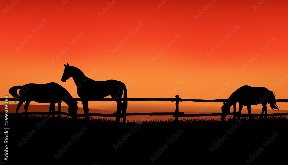 herd of farm horses grazing at meadow behind wooden fence - sunset evening scene on the ranch vector silhouette design - obrazy, fototapety, plakaty 