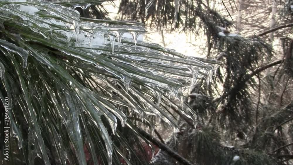 Picturesque winter landscape. On the branches lies ice and snow. Picturesque winter landscape. On the branches lies ice and snow.