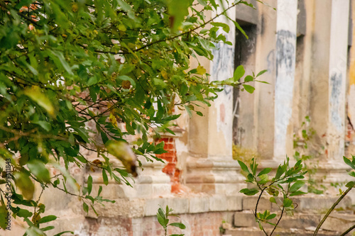 An old Russian estate. Beautiful ruins © Daria