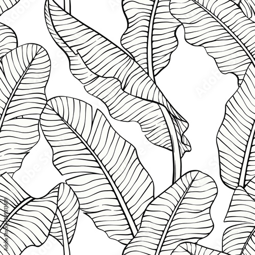 seamless pattern, vector illustration of banana leaf hand drawn sketch cartoon style