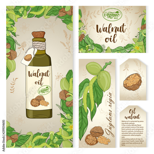 set of design elements for packaging design with a bottle of walnut oil