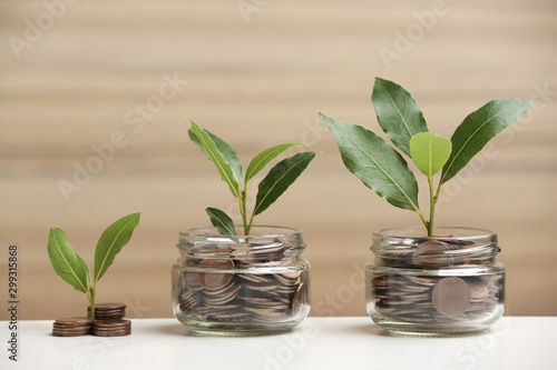 Pile and glass jars of coins with green plants white table against blurred background