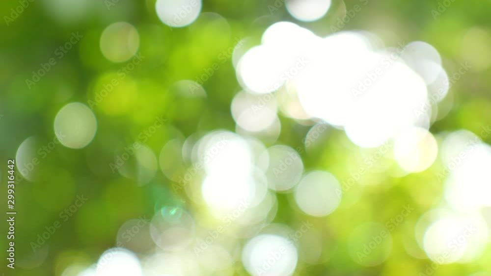 Abstract blured background of green leaves with beautiful sunlight glimmering through the trees in Asia, Thailand. Nature and environmental concepts. Abstract blured background of green leaves with beautiful sunlight glimmering through the trees in Asia, Thailand. Nature and environmental concepts.