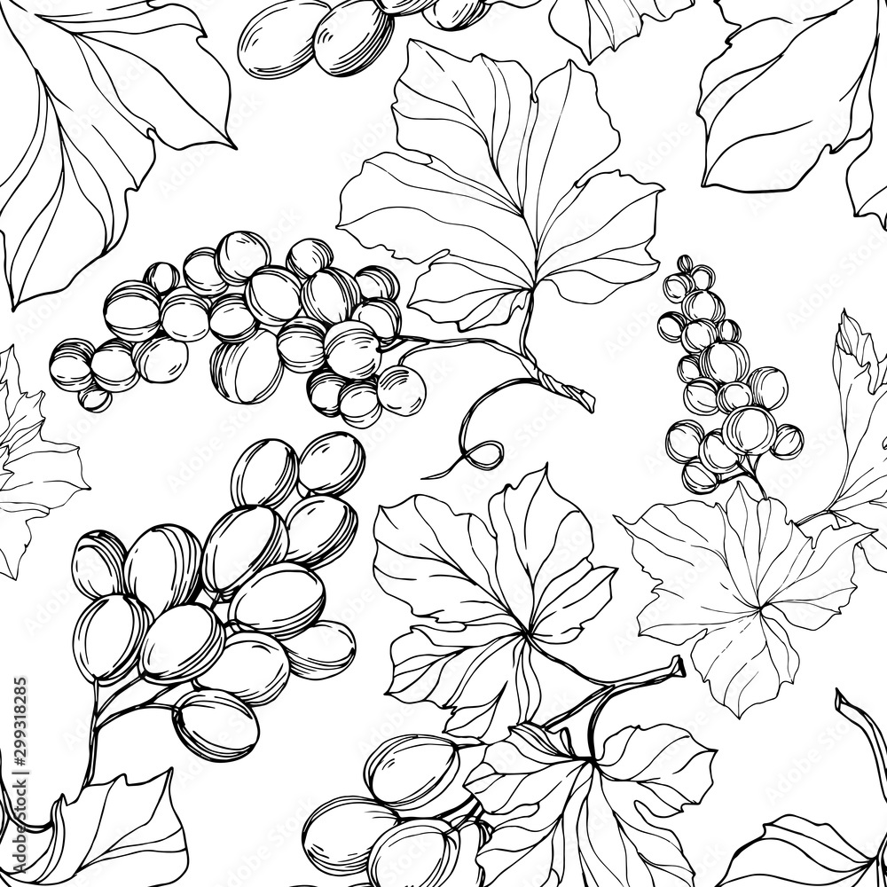 Fototapeta premium Vector Grape berry healthy food. Black and white engraved ink art. Seamless background pattern.