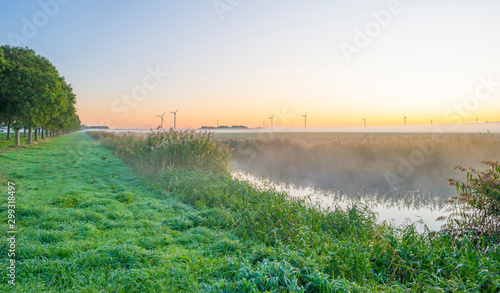 Canal with reed in a rural landscape in sunlight below a blue sky at sunrise in autumn