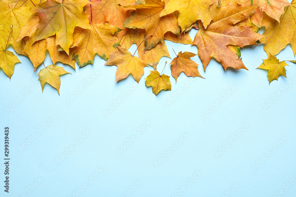 Pile of autumn leaves on blue background, top view. Space for text Pile of autumn leaves on blue background, top view. Space for text