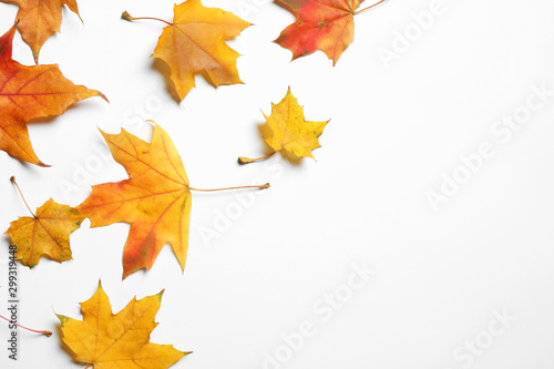 Flat lay composition with autumn leaves on white background. Space for text