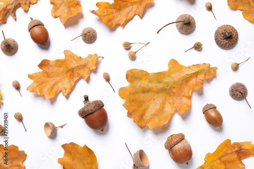 Flat lay composition with autumn leaves on white background