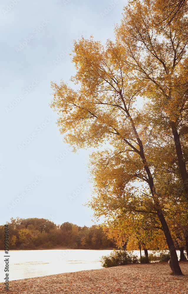 Picturesque view of river and trees with bright leaves. Autumn season Picturesque view of river and trees with bright leaves. Autumn season