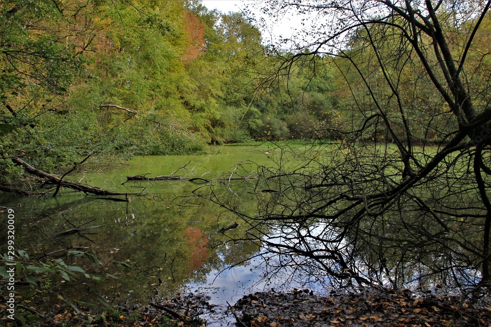 L'automne autour de l'eau.