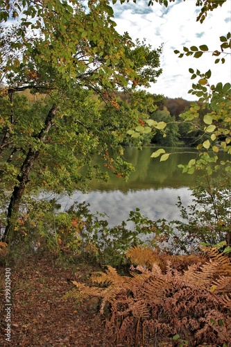 L'automne autour de l'eau.