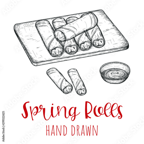 Spring rolls chinese dish, hand drawn vector illustration, isolated sketched design.