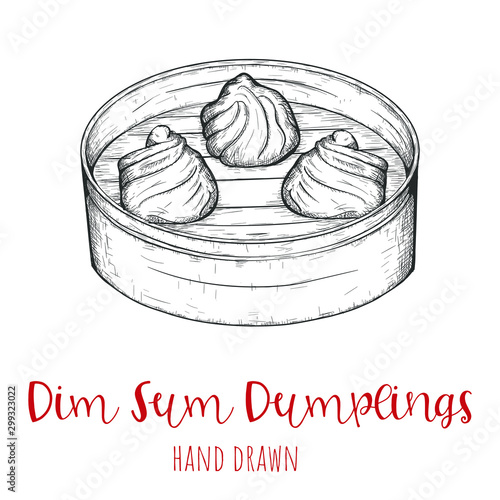 Dim Sum dumplings chinese dish, hand drawn vector illustration, isolated sketched design.