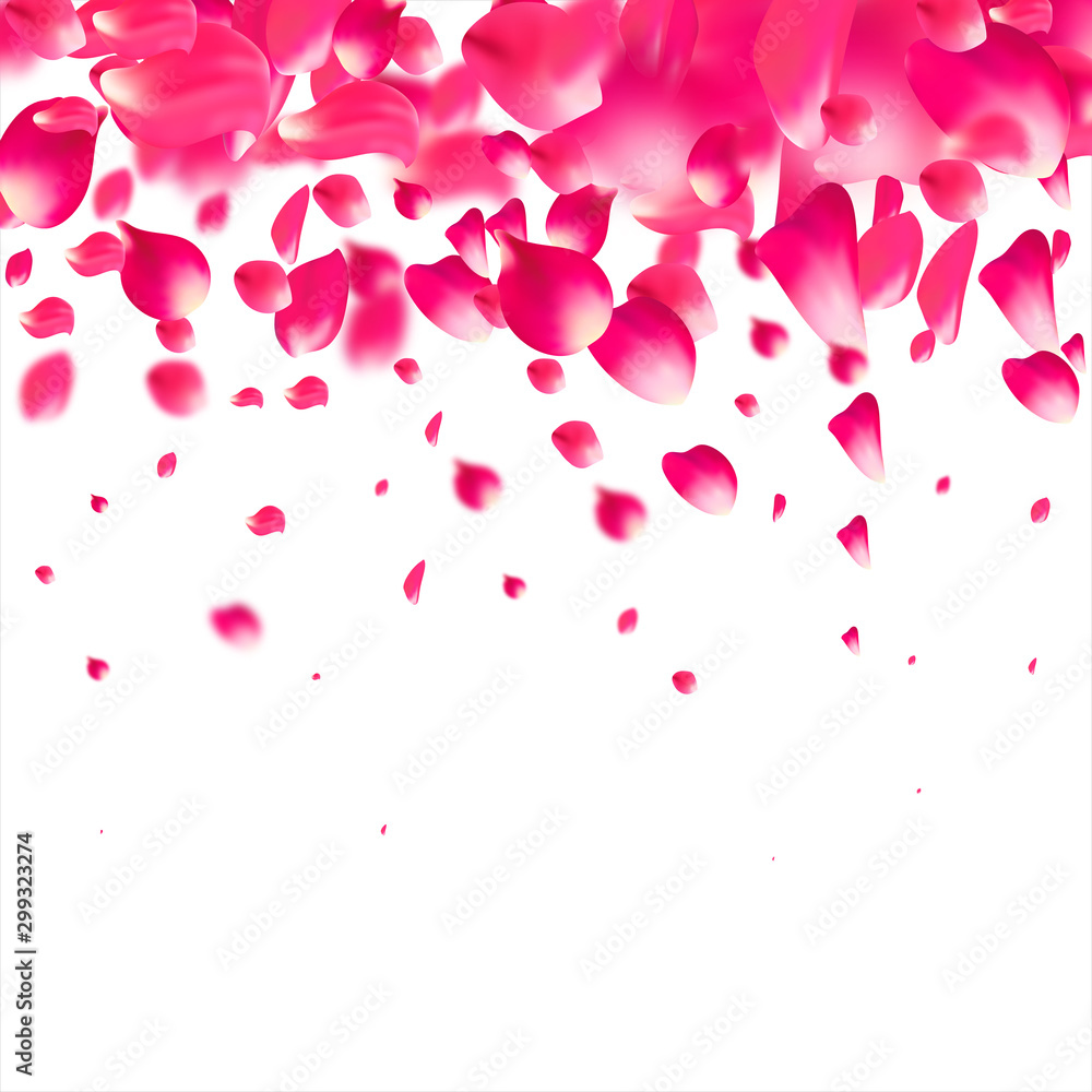 Pink falling petals falling. Rose flower pastel background.