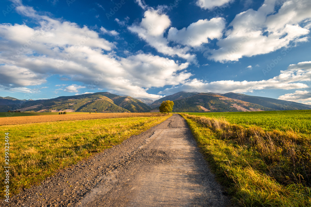 Landscape with a road leading to the mountains in the morning light at autumn. The area of Liptov with The Western Tatras mountains, Slovakia, Europe.