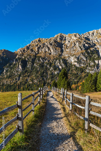 road with wooden fence in the mountains, dolomite alps, south tyrol