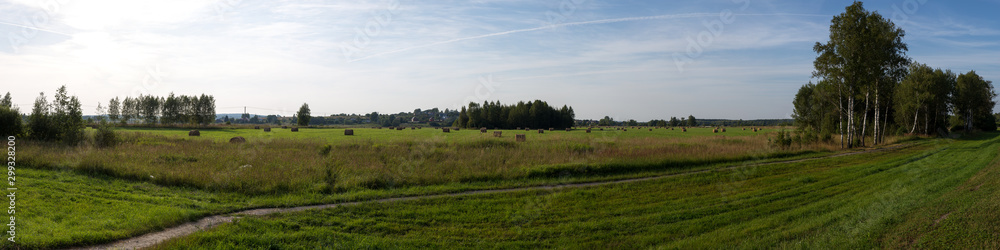 View of a mown meadow with haystacks on the background of birches and villages. Ivanovo region, Russia.