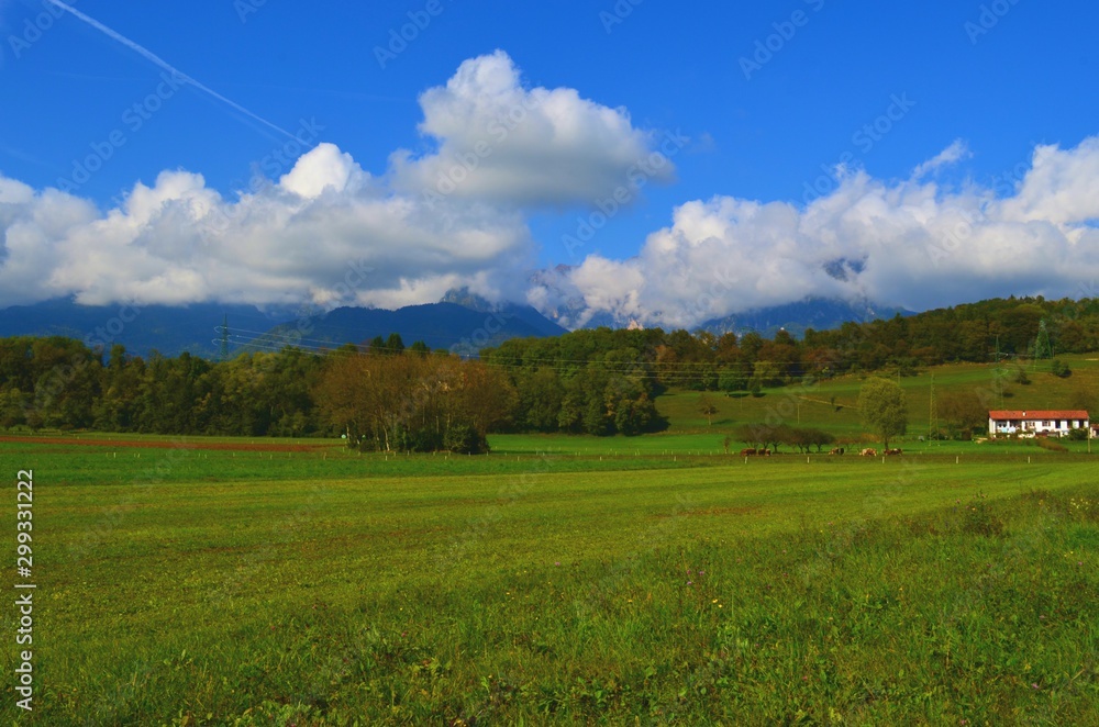 Fototapeta premium rural mountain landscape with field, trees and clouds