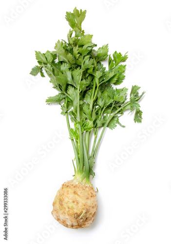Top view celery root and stem on a white background.