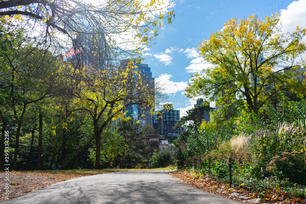 Naklejka premium Fort Greene Park in Brooklyn New York during Autumn with Skyscrapers in the background