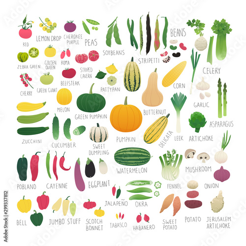 Clip art food collection Vol.2: vegetables and herbs