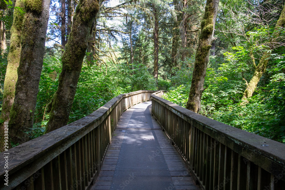 A bridge in the middle of the pluvial rainforest; Oregon State, USA.