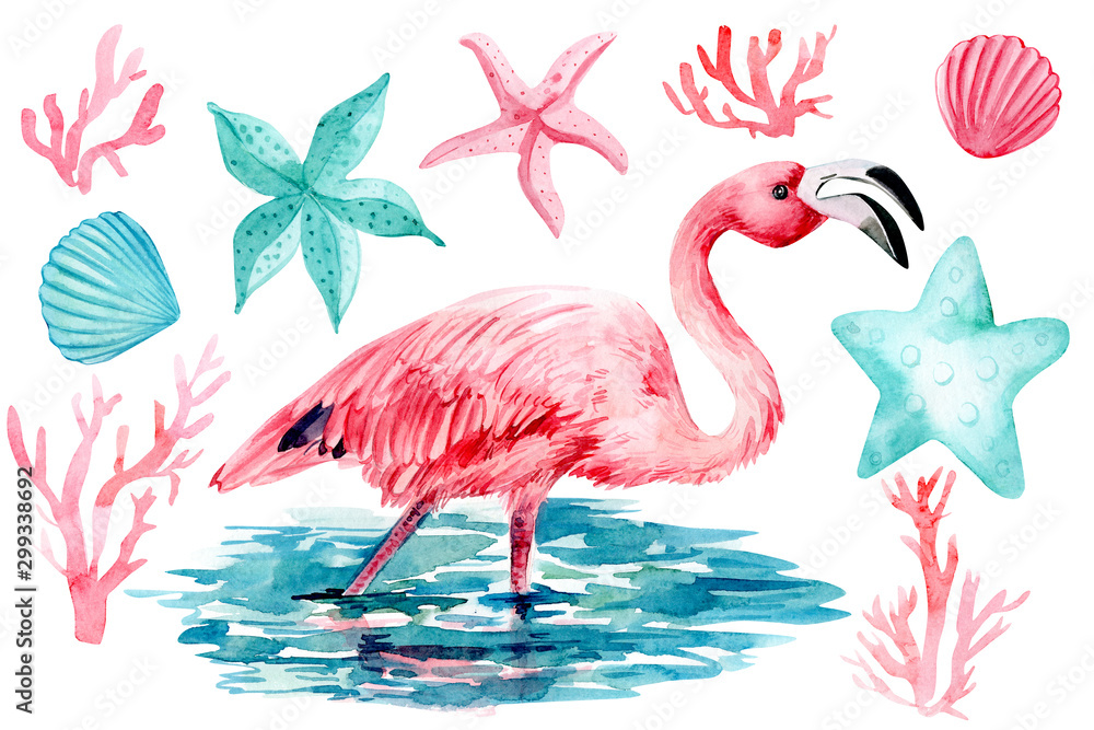 flamingo in water on an isolated white background, watercolor illustration
