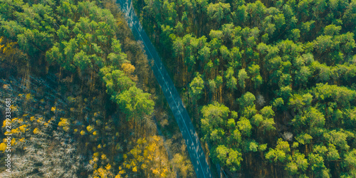 Aerial top view two forest halves are shared by the road. The green coniferous summer forest and highway. Summer and autumn travel banner concept.
