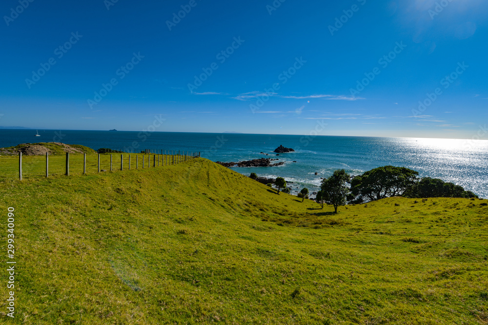 Obraz premium New Zealand travel, Auckland, Wellington^ fiords and islands