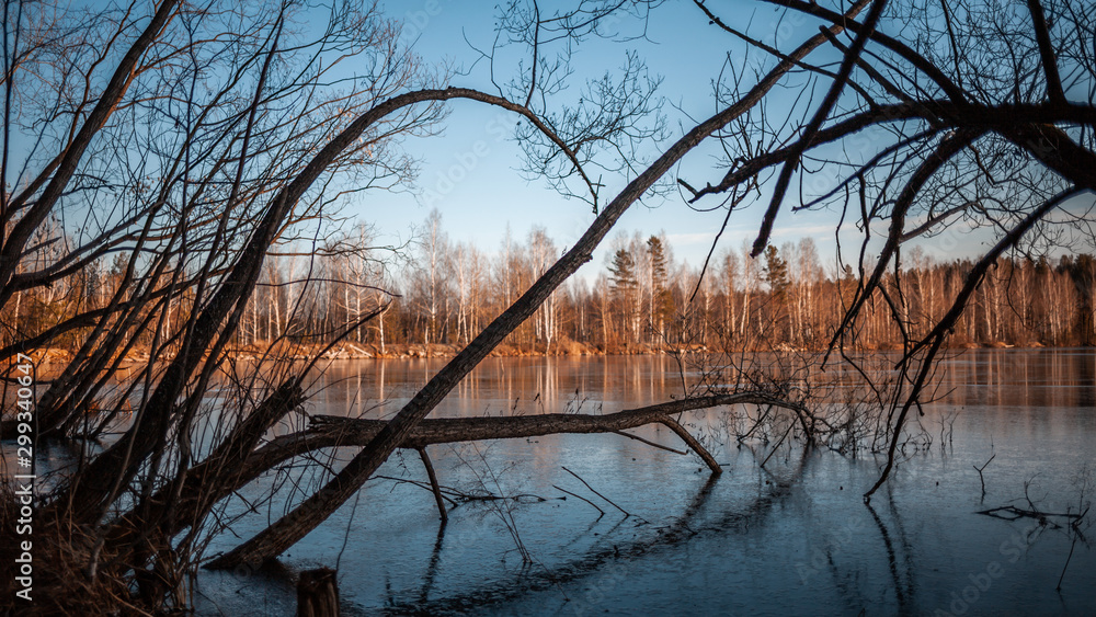 autumn forest on the lake at sunset autumn forest on the lake at sunset