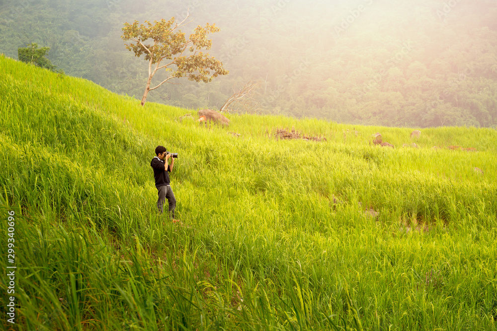 Asia man photographer traveler take a photo of mountain rice field.