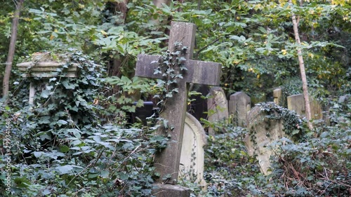 Ivy on a crucifix, Old Graveyard, overgrown spooky cemetery  photo