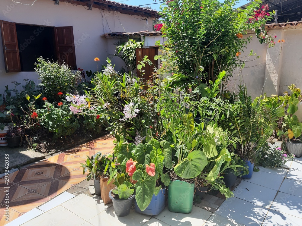 Naklejka premium JARDIM CASA