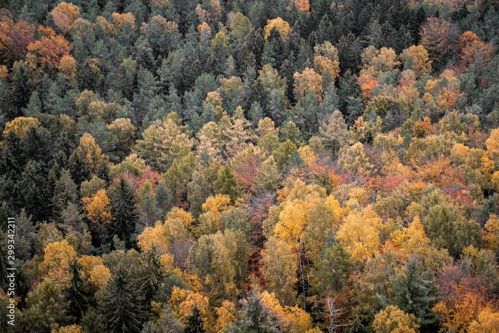 Herbstliche Landschaft in der Sächsischen Schweiz Herbstliche Landschaft in der Sächsischen Schweiz
