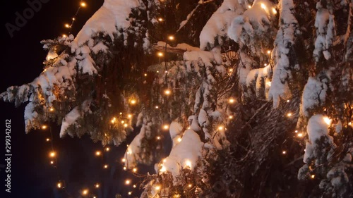 Garland lamp lights on Christmas trees. Festive illumination on the fir-trees at the streets on New Year's Eve. Winter night. Snowy spruce branches. Snowfall. Snow falling down. Left panorama