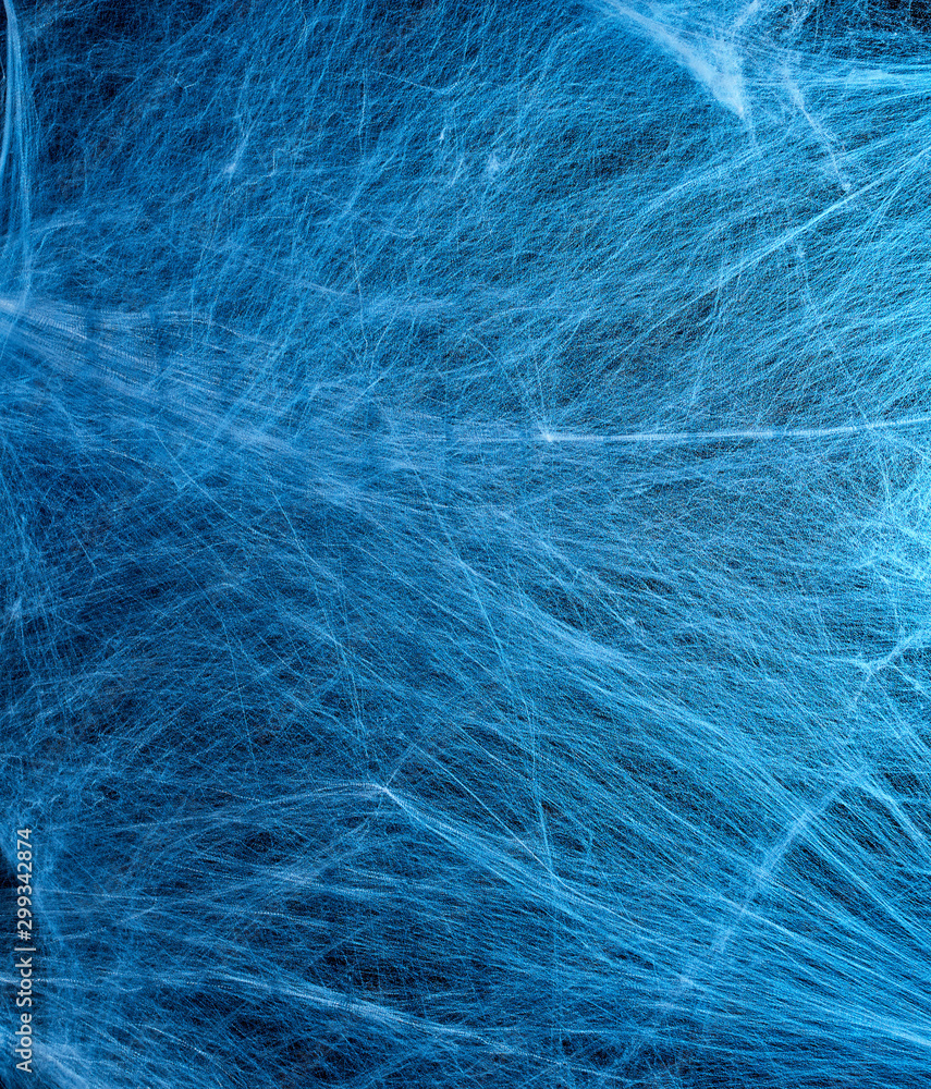 Obraz premium stretched white web with blue backlight, background for the holiday Halloween
