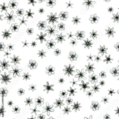 monochrome gray small flowers  freehand drawing in pencil illustration  seamless pattern