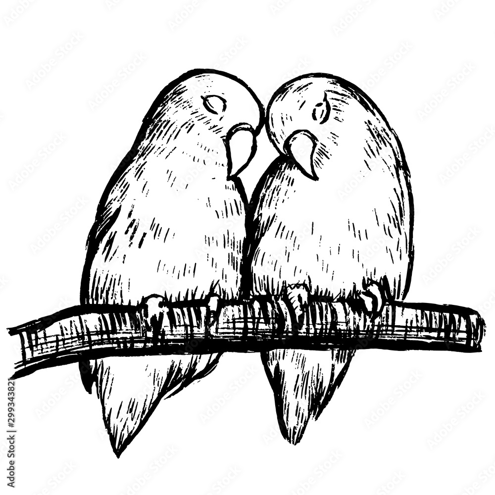 Love Birds Black And White Graphic - Love Bird Drawing Simple - Free  Transparent PNG Clipart Images Download