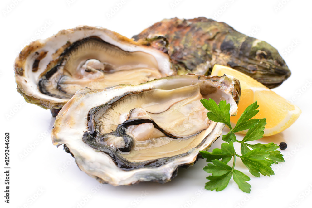 Oysters on a white background with lemon Oysters on a white background with lemon