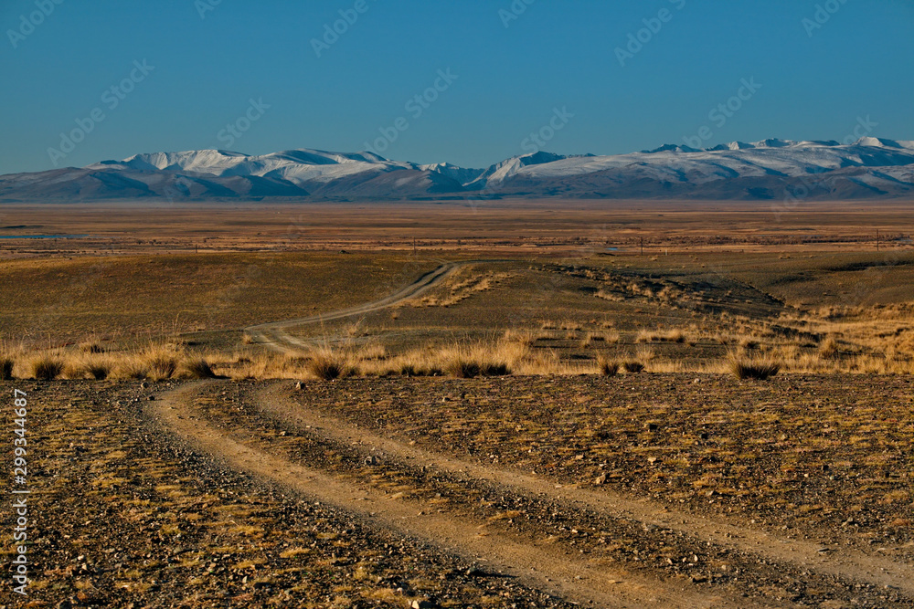 Russia. South Of Western Siberia. Mountain Altai, Chuysky trakt in the area of the Kurai steppe