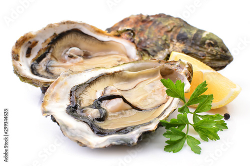 Oysters on a white background with lemon