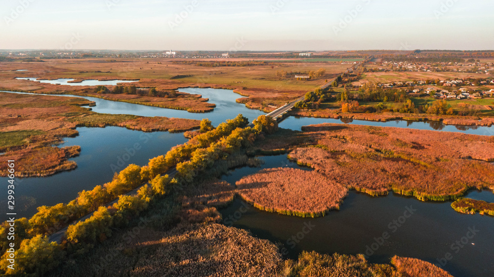 Aerial top view. Autumn landscape. Wild nature