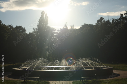 Fontanna w parku © Urszula