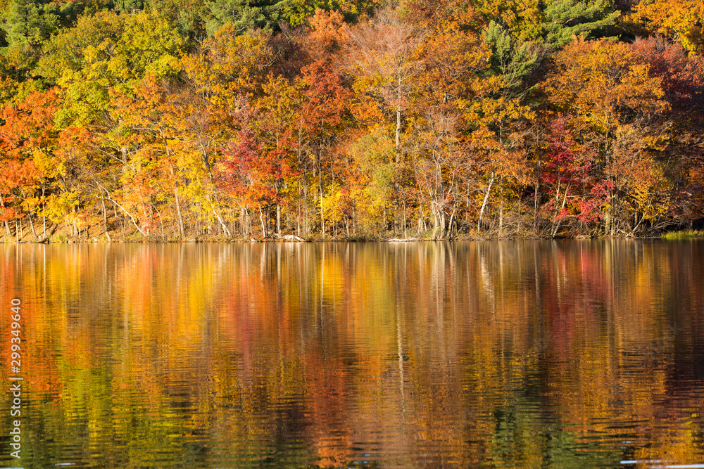 Fototapeta premium Mont-Saint-Bruno national park in autumn